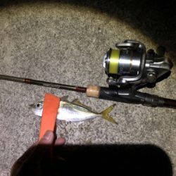 久々のアジング&メバリング