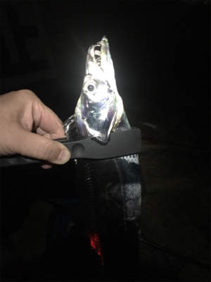 アタリ減ったなあ