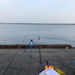 泳がせ釣り／サビキ釣り