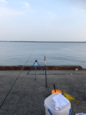 泳がせ釣り／サビキ釣り