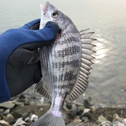 年無しまであと少し