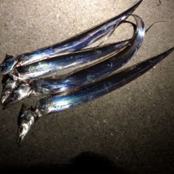 今宵もタッチーデート(^^)