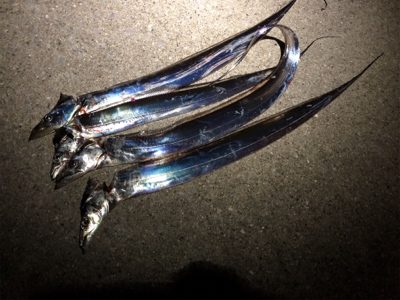 今宵もタッチーデート(^^)