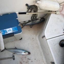 高波の中ジギング釣行