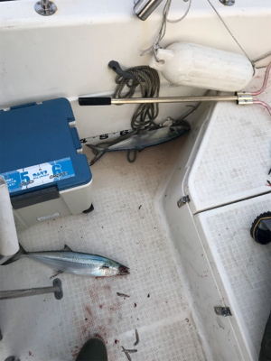 高波の中ジギング釣行