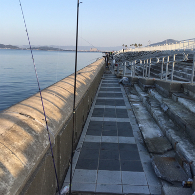 アジングなのに