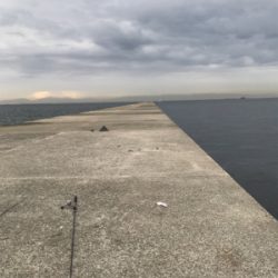 痛恨のサビキ忘れ(涙)