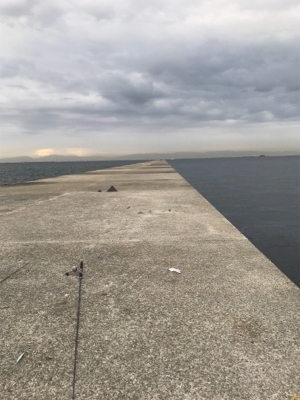 痛恨のサビキ忘れ(涙)