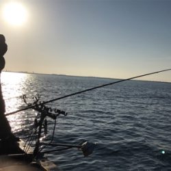 メジロ祭り復活祭 陸っぱり竿納編