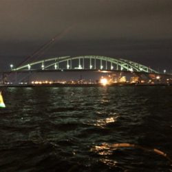 キタ〜っ❗️舞洲でF5❗️