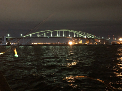 キタ〜っ❗️舞洲でF5❗️