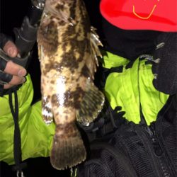 メバルのちタケノコ掘り