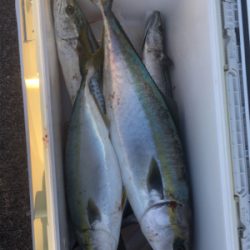 青物3種狙い☆GUNNING-STYLE