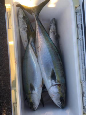 青物3種狙い☆GUNNING-STYLE