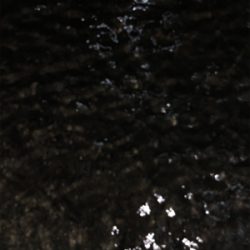 アジング バイク釣行の練習