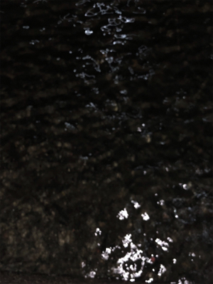 アジング バイク釣行の練習