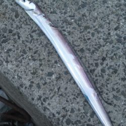 ヒトデのあらし