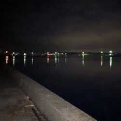 メバルプラッキング！