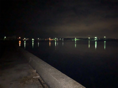 メバルプラッキング！