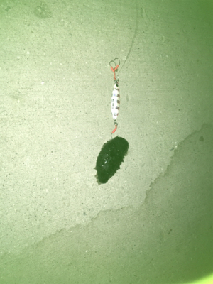 寒い！風強い！寒い‼︎