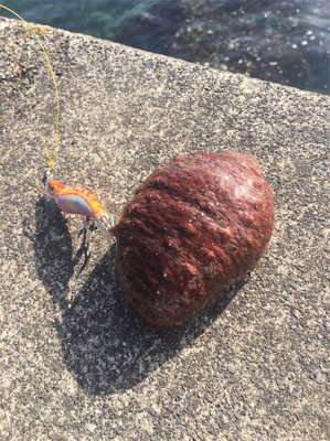 なんとか、、、