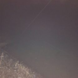 極寒のシーバス釣行