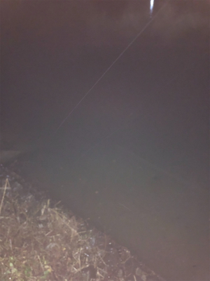 極寒のシーバス釣行