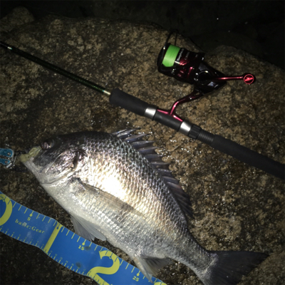 淀川ブリームゲーム お帰りなさい