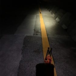 ぷりぷりサゴシ