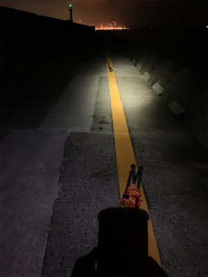 ぷりぷりサゴシ