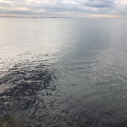 冬のデイシーバス!