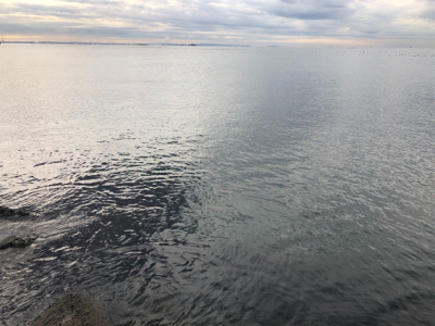 冬のデイシーバス!