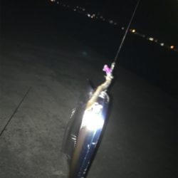 ドラゴンVSタッチポン