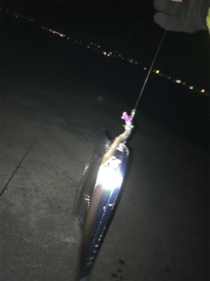 ドラゴンVSタッチポン