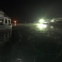 寒い中でのヒイカ釣り