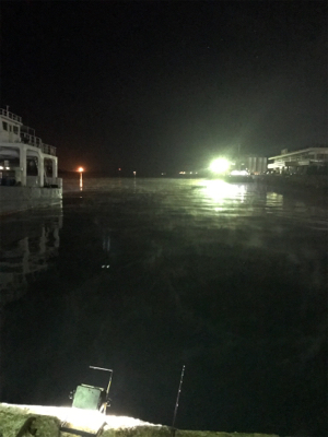 寒い中でのヒイカ釣り