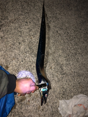 今シーズン釣り納め