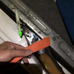 タチウオ爆釣！