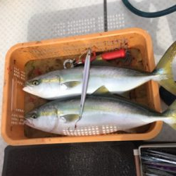 毎年恒例竿納ビッグファイター釣行