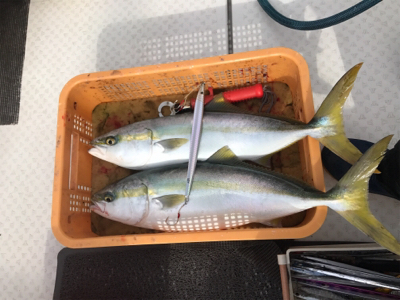 毎年恒例竿納ビッグファイター釣行