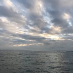 明石沖   ブリノマセ釣り