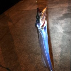 寒い中でのタッチーチャレンジ