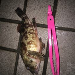 デカがしこ！！！！