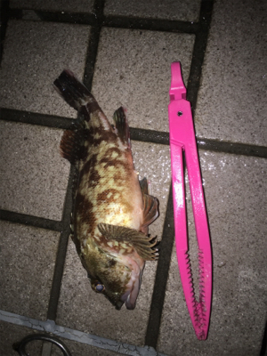 デカがしこ！！！！