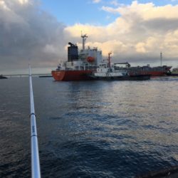 サビキ釣り朝は厳しかな！？