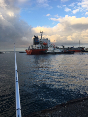 サビキ釣り朝は厳しかな！？