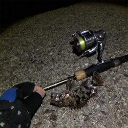 好釣果も災難な釣行