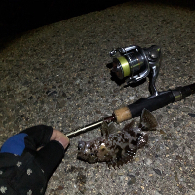 好釣果も災難な釣行