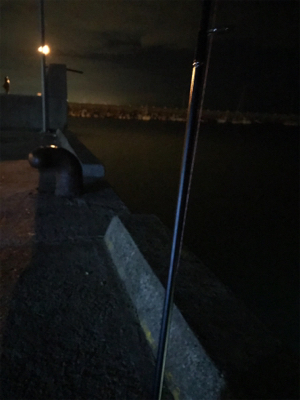 やっぱり渋いヒイカ釣り(＞＜)