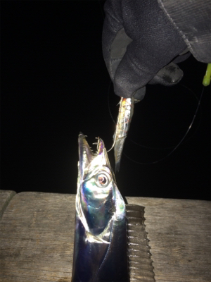 ドラゴン現れず